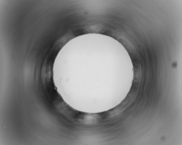 X0000101970334200808151344