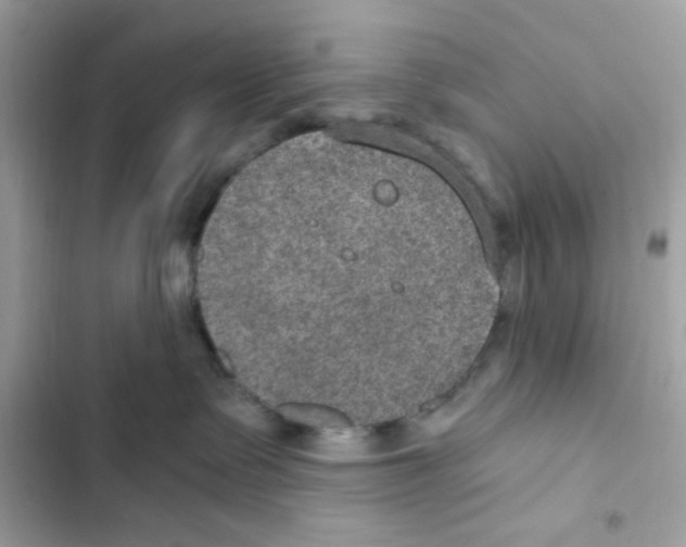 X0000101970335200808151344