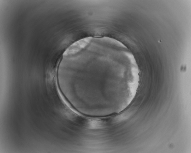 X0000101970336200808151344
