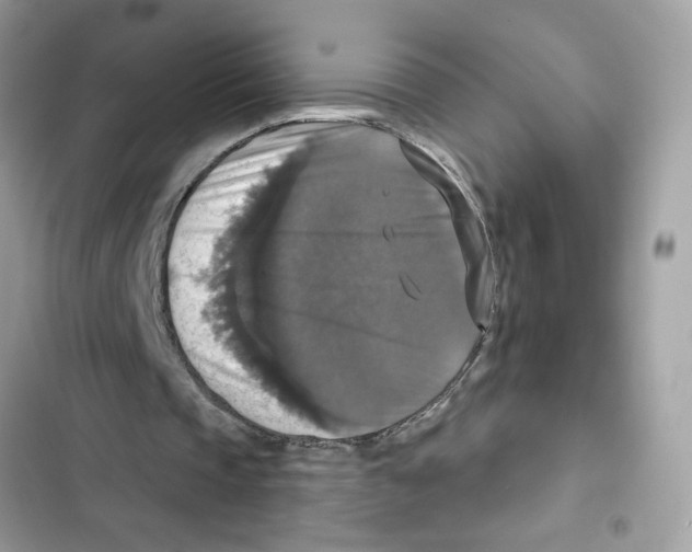 X0000101970337200808151343