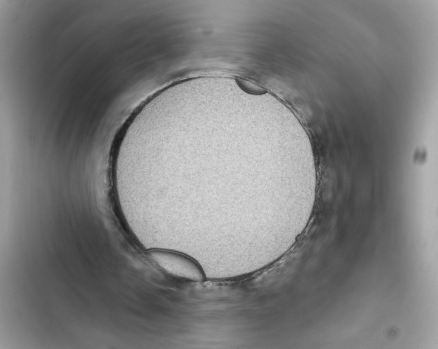 X0000101970338200808151343