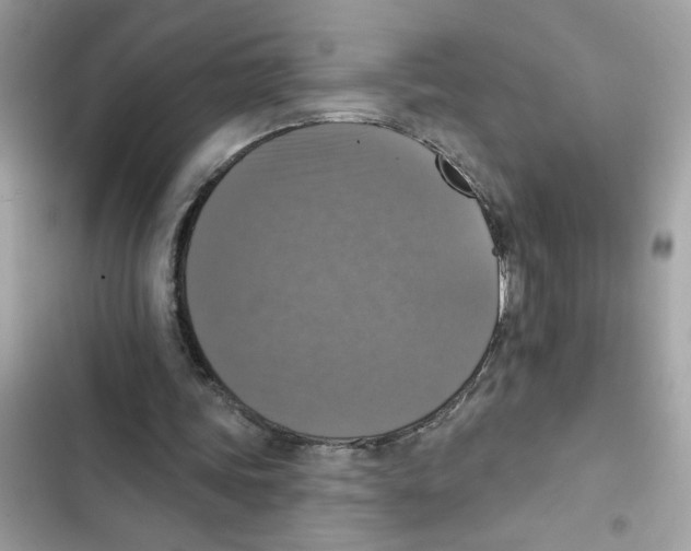 X0000101970339200808151343