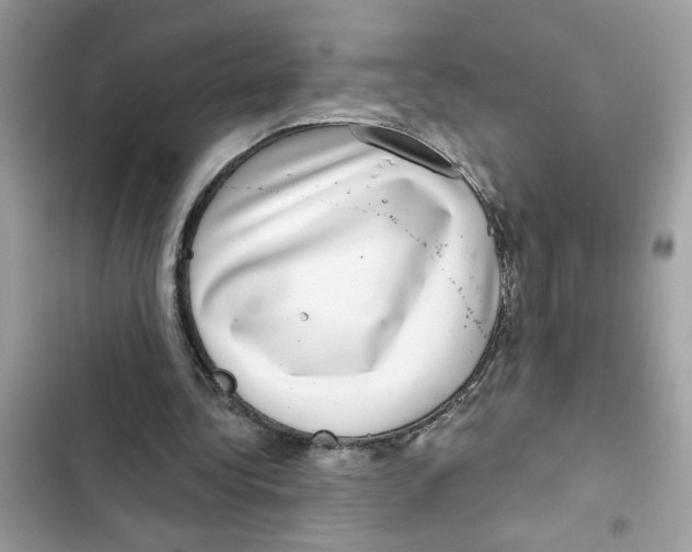 X0000101970340200808151343