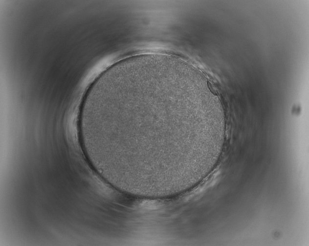 X0000101970341200808151343