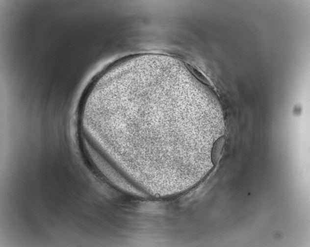X0000101970342200808151343