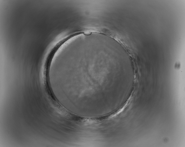 X0000101970343200808151343