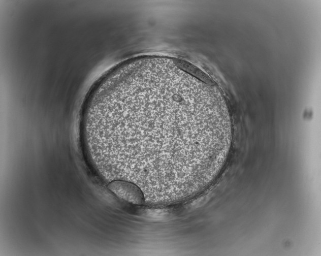 X0000101970344200808151343