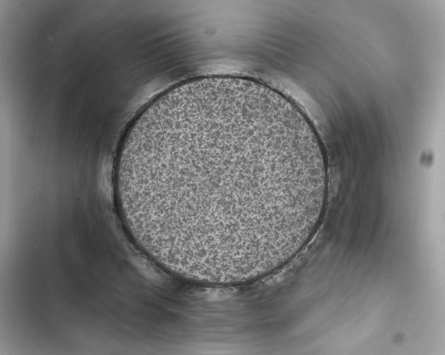 X0000101970345200808151343