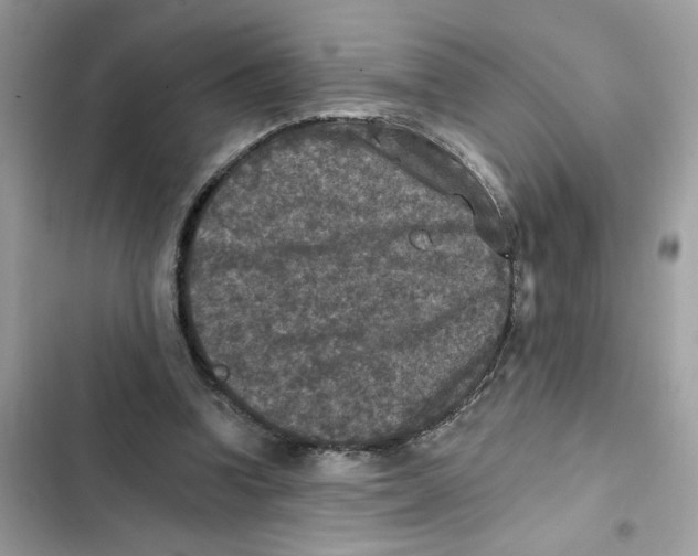 X0000101970346200808151343