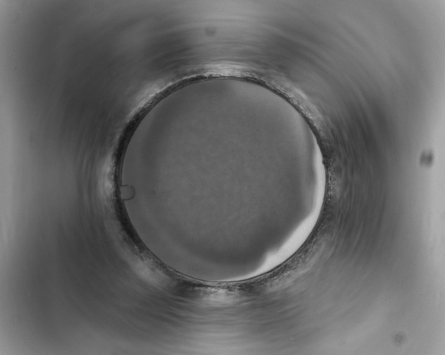 X0000101970347200808151343