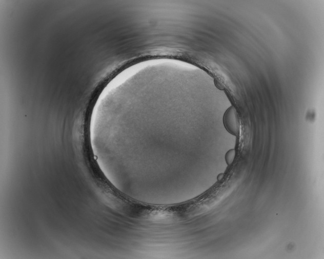 X0000101970348200808151343