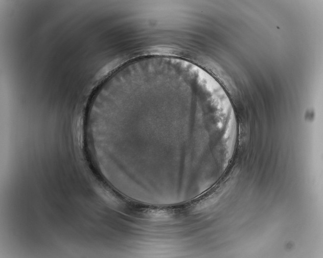 X0000101970349200808151343
