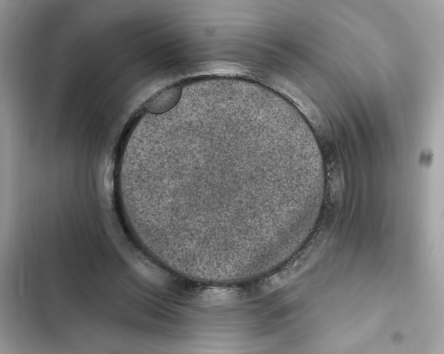 X0000101970350200808151343