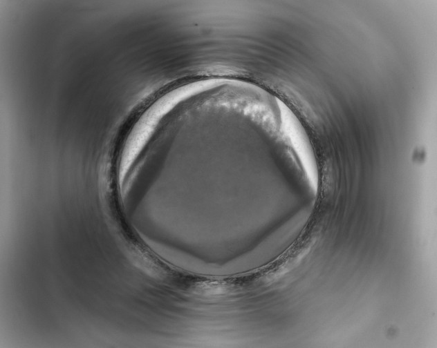 X0000101970351200808151343
