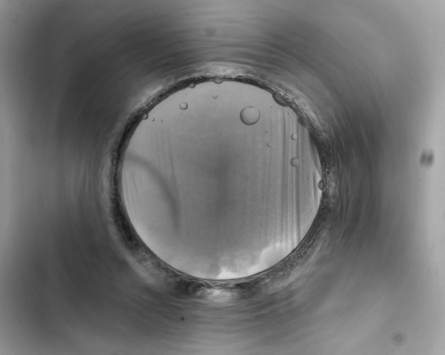 X0000101970352200808151343