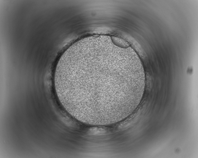 X0000101970354200808151343