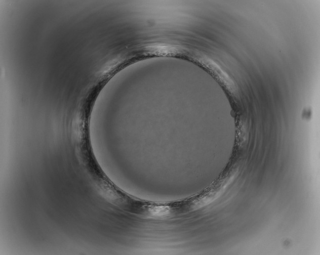 X0000101970355200808151343