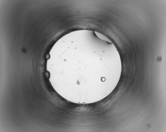 X0000101970356200808151343