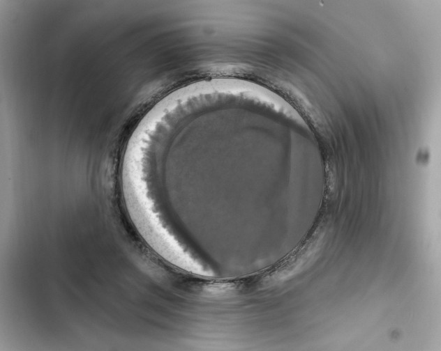 X0000101970357200808151343