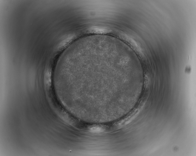 X0000101970358200808151343