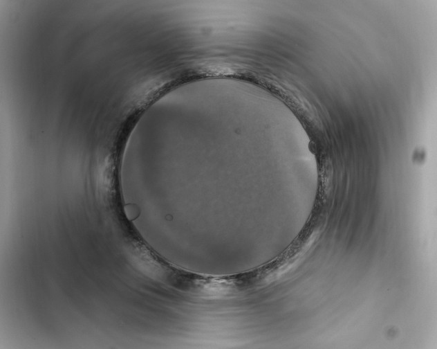 X0000101970359200808151343