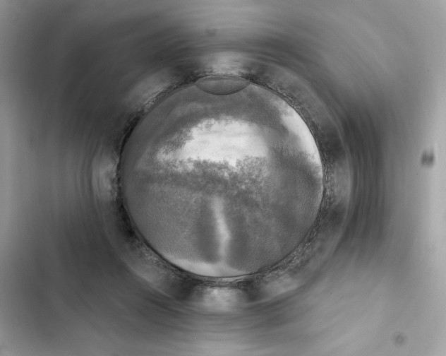 X0000101970360200808151343