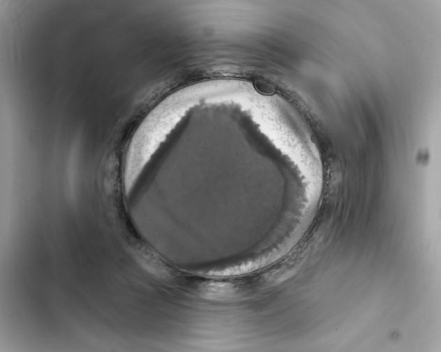 X0000101970361200808151343