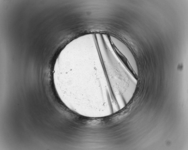 X0000101970362200808151343