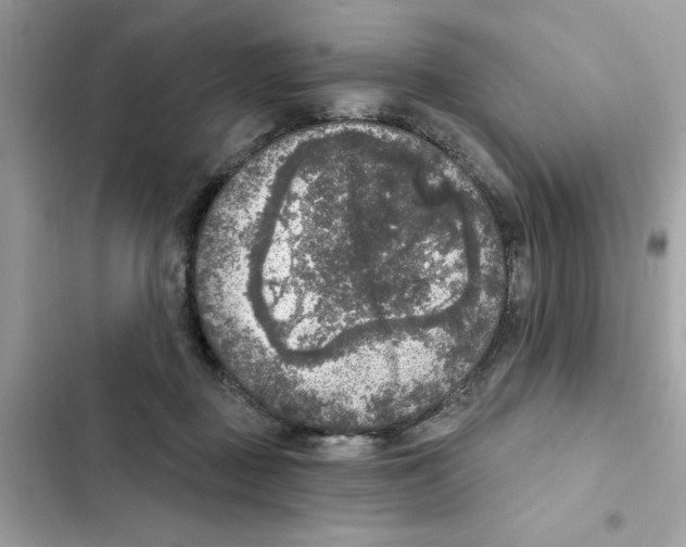 X0000101970363200808151343