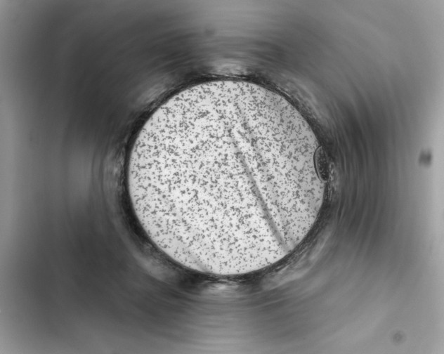 X0000101970364200808151343