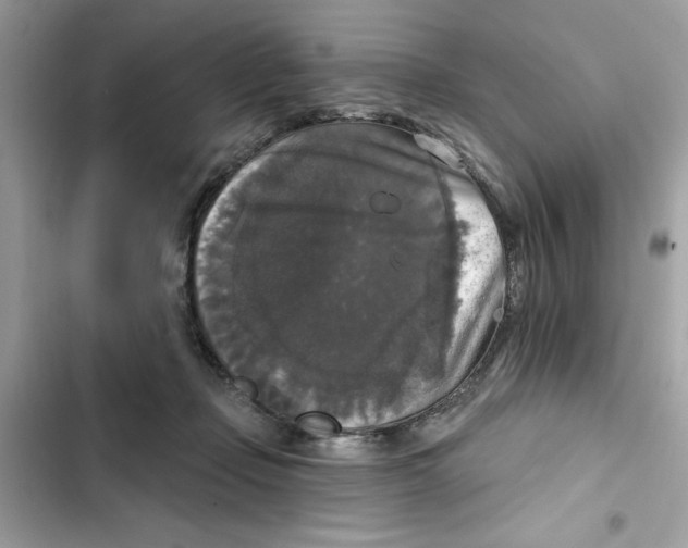 X0000101970365200808151343