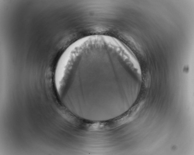 X0000101970366200808151343