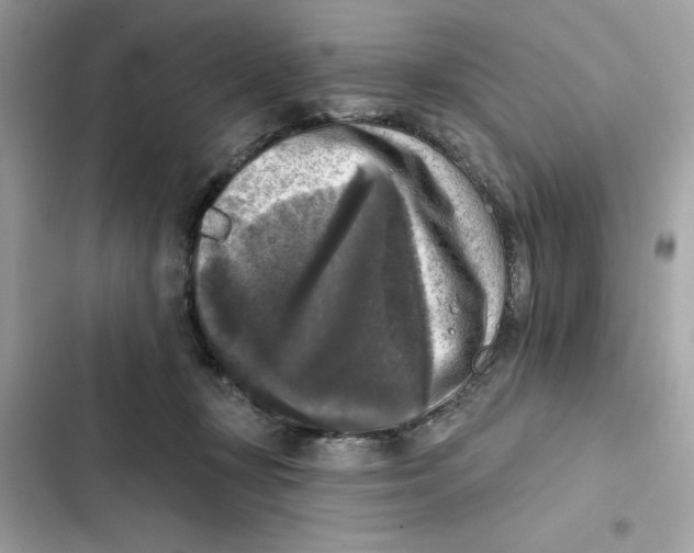X0000101970367200808151343