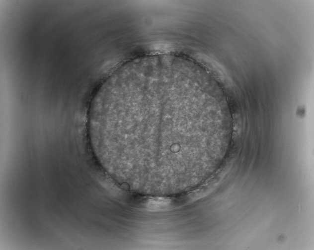 X0000101970369200808151343