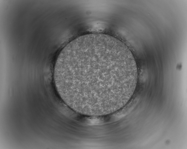 X0000101970370200808151343