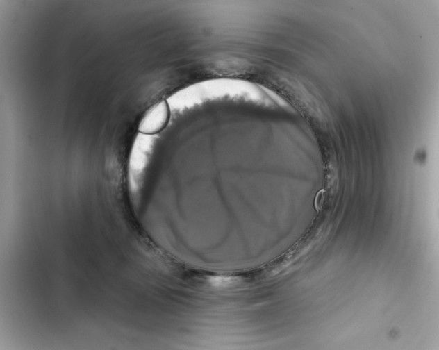 X0000101970371200808151343