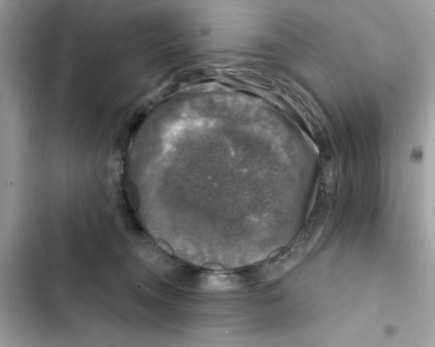 X0000101970372200808151343