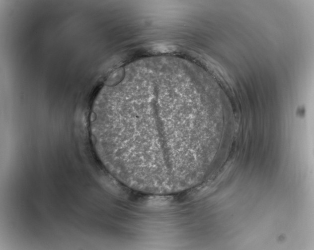X0000101970373200808151343