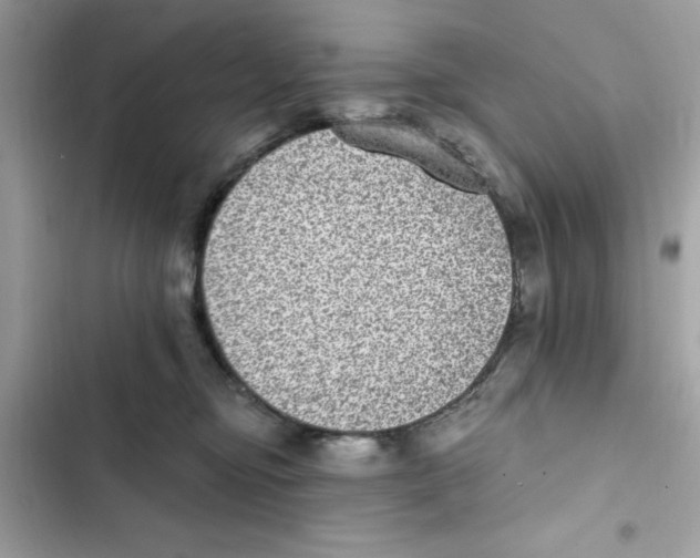 X0000101970374200808151343