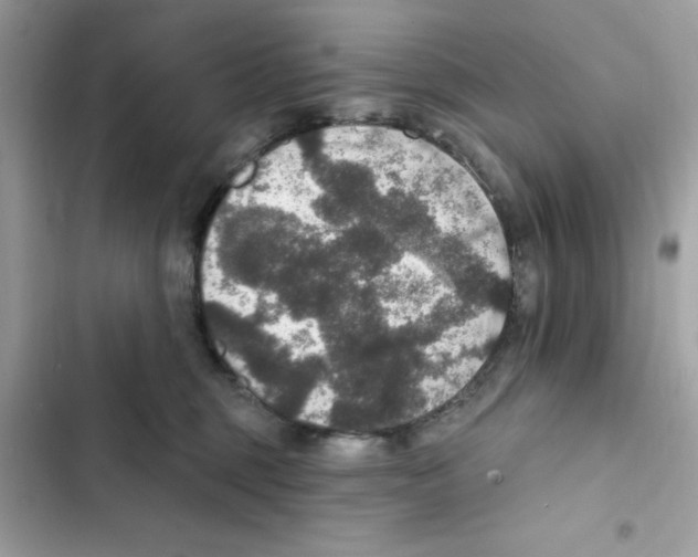 X0000101970375200808151343