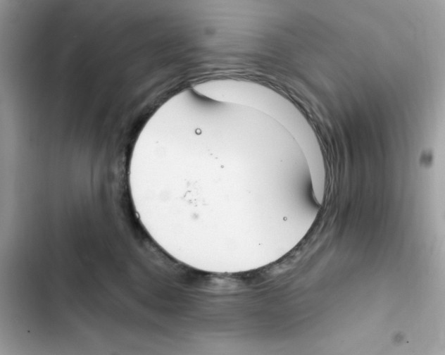 X0000101970376200808151343