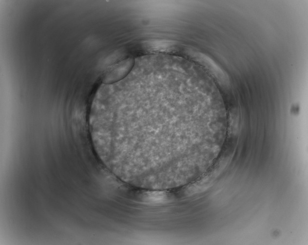 X0000101970377200808151343