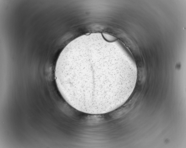 X0000101970378200808151344