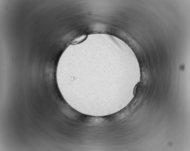 X0000101970379200808151344