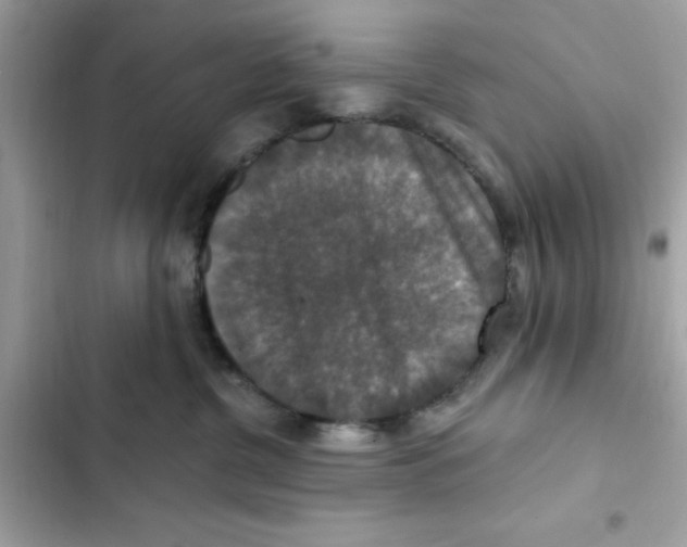 X0000101970380200808151344