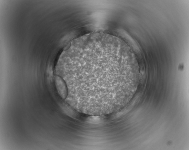 X0000101970381200808151344