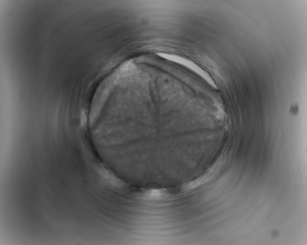 X0000101970382200808151344