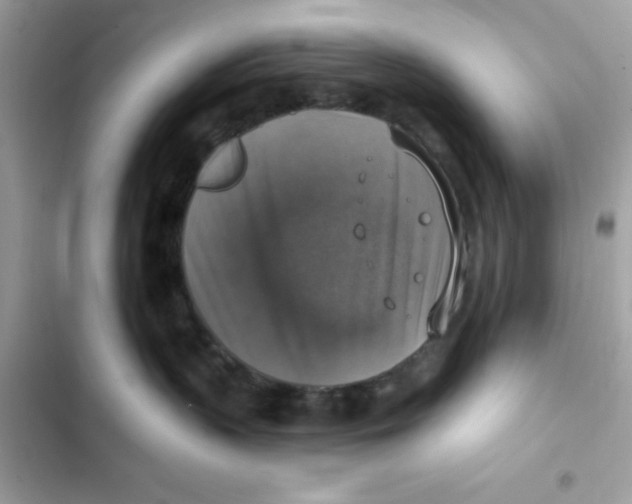 X0000101970383200808151344