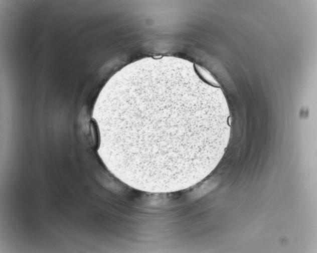 X0000101970384200808151344