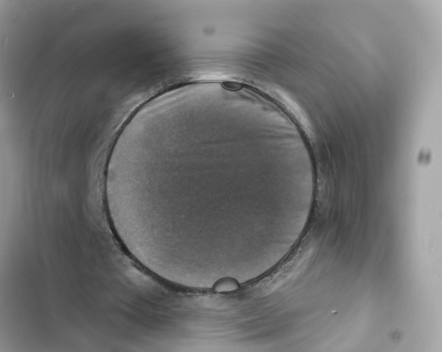 X0000101970385200808151343